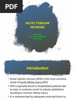 SHC Vancomycin Dosing Guide PDF | PDF | Renal Function | Medical ...