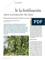 Efecto de La Fertilización Sobre La Producción Del Olivar 2