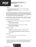 Download Informe de Laboratorio Ruben Lista by Rubn Lista Facal SN56999873 doc pdf