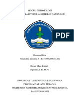 Identifikasi Telur Anopheles Dan Culex