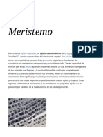 Meristemo - Wikipedia, La Enciclopedia Libre