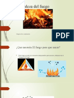 Naturaleza Del Fuego