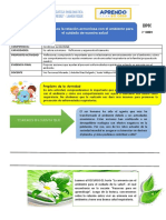 La importancia de vivir en armonía con el ambiente para preservar la salud respiratoria