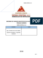 INFORME DE HONGOS MICOTICOS EN UN AMBIENTE DE TRABAJO MINERO