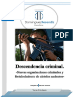 Descendencia Criminal. Nuevas Organizaciones Criminales y Cárteles Nacientes 2021.