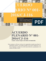 Acuerdo Plenario-Derecho Penal II