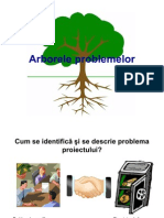 Management de Proiect