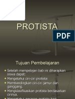 5. PROTISTA oleh istamar