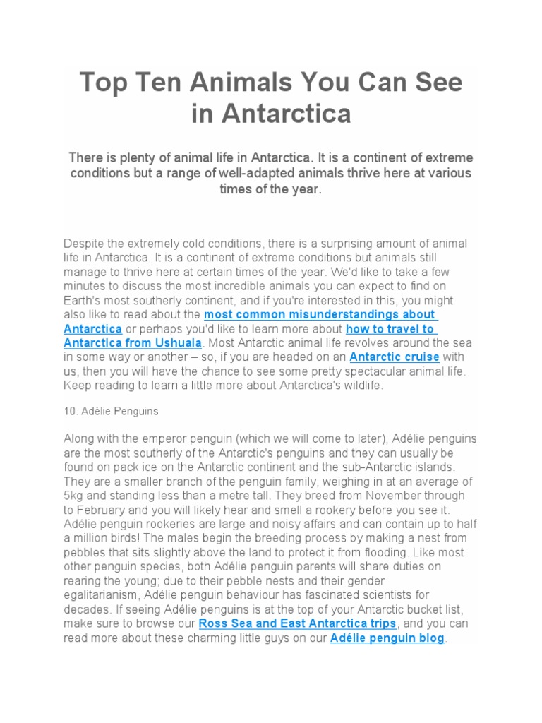 Top Ten Animals You Can See in Antarctica PDF Penguin Antarctica