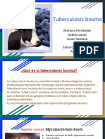 Tuberculosis Bovina PDF