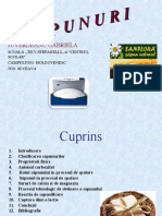 dokumen.tips_chimie-organica-sapunuri-ppt