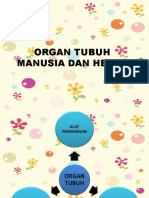 Organ Tubuh Manusia Dan Hewan