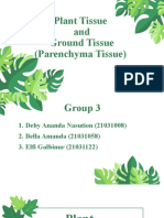 Plant Tissue and Ground Tissue (Parenchyma Tissue)