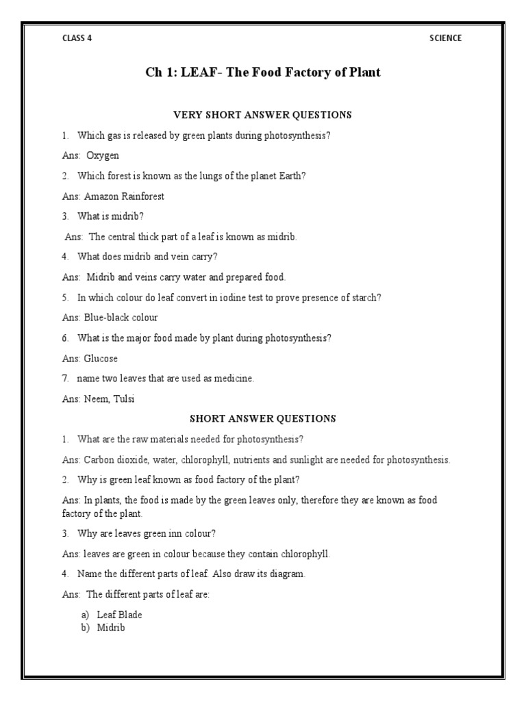 Which Is Known As The Food Factory Of Plant