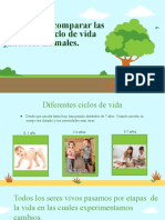 Ppt Clase n3