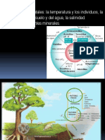 Tema 2. Condiciones, Recursos