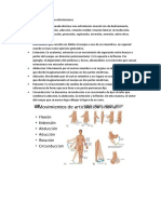 Anatomía y Fisiología de Las Articulaciones