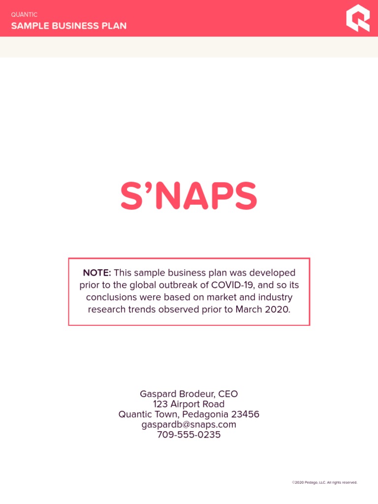 Snaps Example PDF