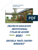 Proyecto Educativo 5289