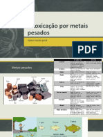 Aula 0 - Intoxicação Por Metais Pesados