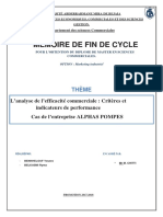 L'Analyse de L'efficacité Commerciale Critères Et Indicateurs de Performance