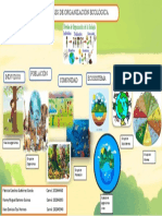 COLLAGE Sobre Los Niveles de Organización de La Ecología PDF