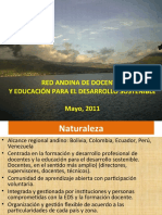 Red Andina Propuesta Plenaria 20-05-2011