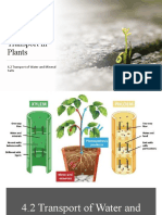 4.2 Transport of Water and Mineral Salts