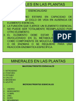 Mineral Es