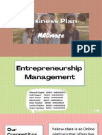 MADmaze Business Plan Summary