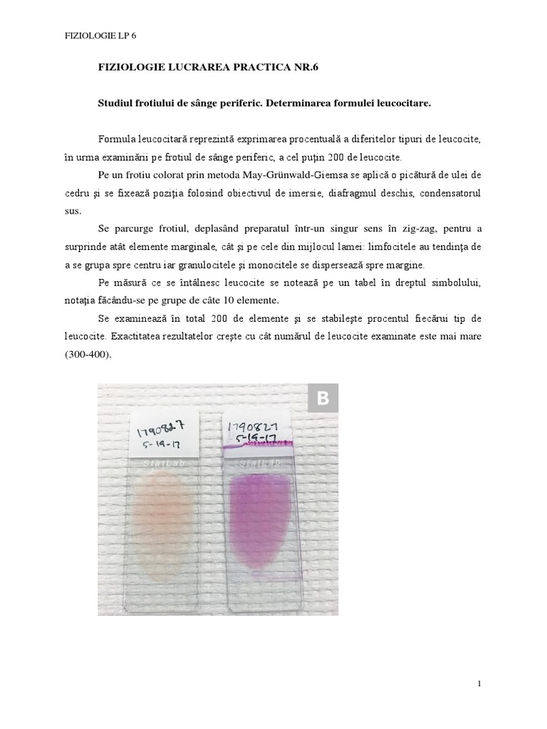 Fizio LP 6 Formula Leucocitara 2020 | PDF