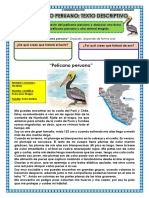 19-10 - CIENCIA Y TECNOLOGIA El Pelìcano Peruano
