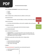 The External Environment Analysis