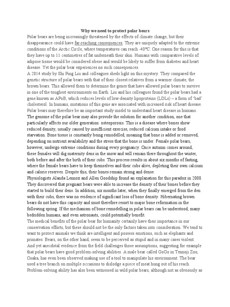 Why We Need To Protect Polar Bears PDF Polar Bear Bears