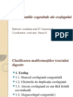 Malformatiile Esofagiene