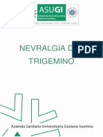 NCH Trigemino Rev00