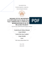 Mendoza - Ochoa - Mejora en El Rendimiento Del Cultivo de Palta Hass