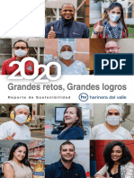 Reporte de Sostenibilidad HV 2020