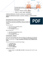 Aerobic Respiration - Glucose + Oxygen Water + Energy