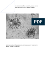 TAREA 3_PRACTICA 3