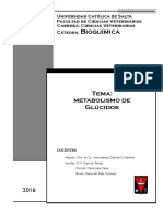 5 Metabolismo de Glucidos 2016