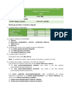 Estómago Duodeno e Intestino Delgado