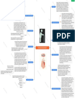 Mapa Conceptual Aspectos