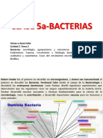 Bacterias: morfología, estructuras y tinción de Gram
