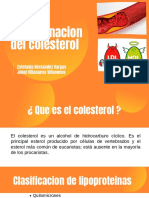 Determinacion de Colesterol