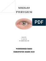 PTERIGIUM