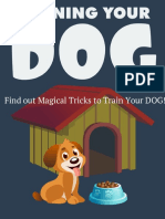 Find Out Magical Tricks To Train Your Dog!