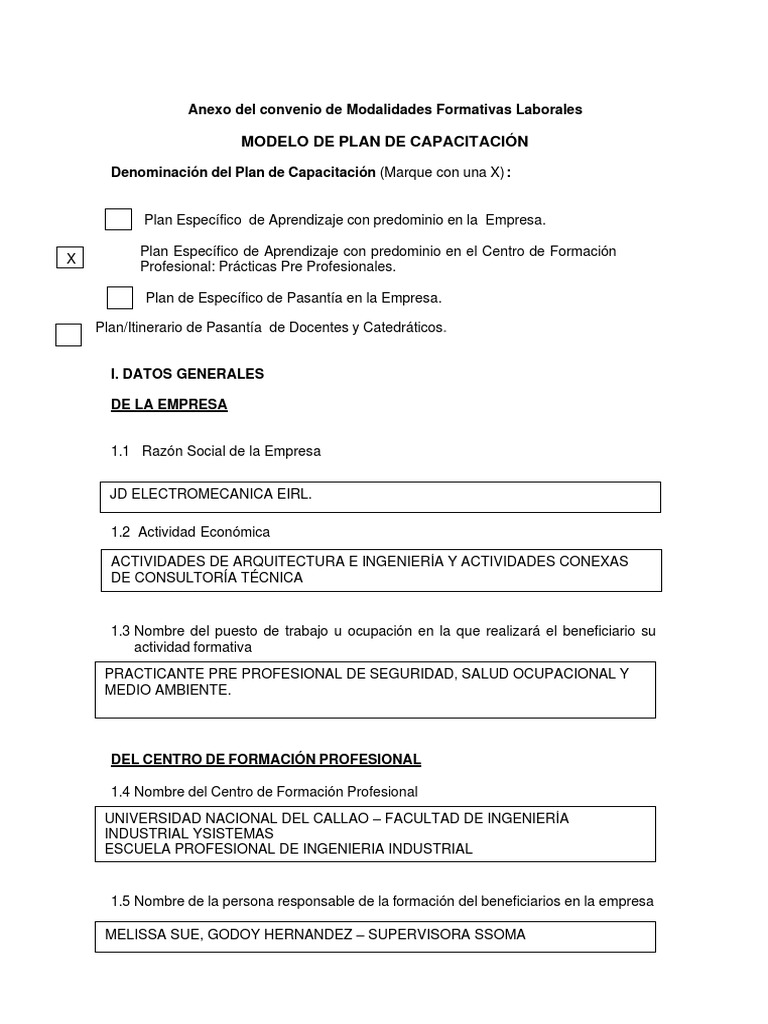Plan de Capacitación Laboral 2023 | PDF | Cognición | Sicología