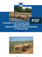 0 Sheep No Link PDF