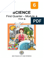 First Quarter Module 6: Week 6